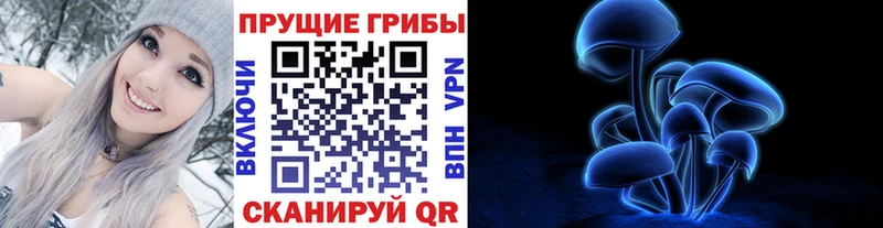 Псилоцибиновые грибы GOLDEN TEACHER  Купить  Любим 